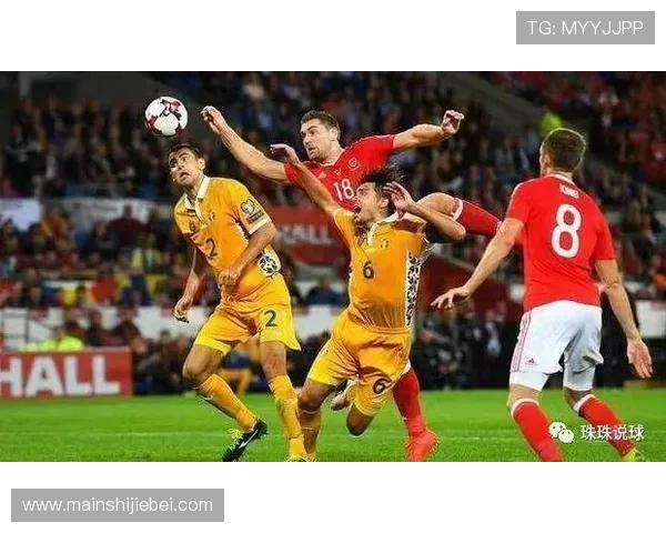 卡塔尔世界杯：赛事期间的安全保障措施与应急管理体系详解